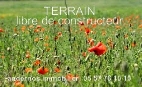 Offres de vente Terrain Andernos-les-Bains 33510