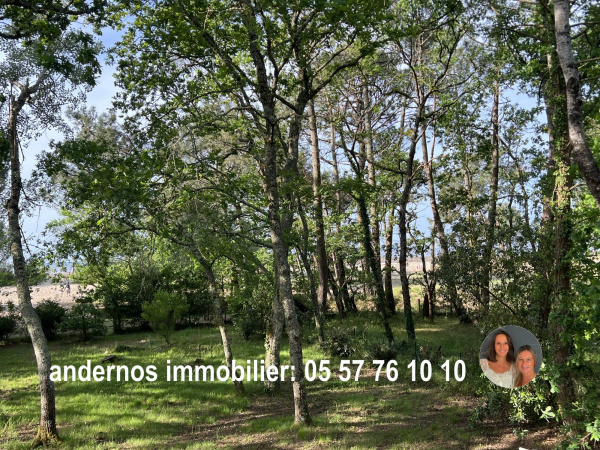 Offres de vente Maison Arès 33740