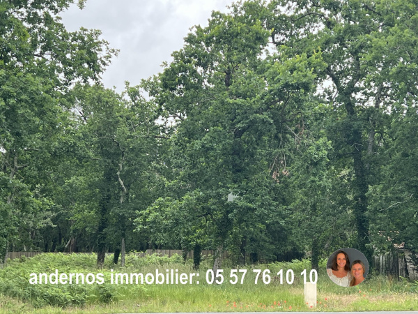 Offres de vente Terrain Andernos-les-Bains 33510